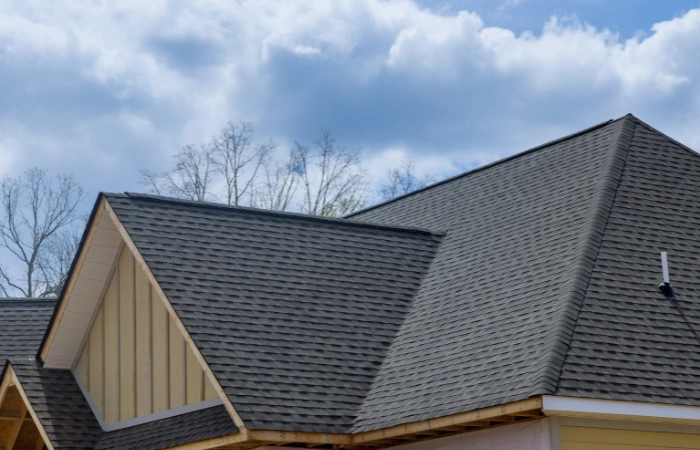 asphalt shingles