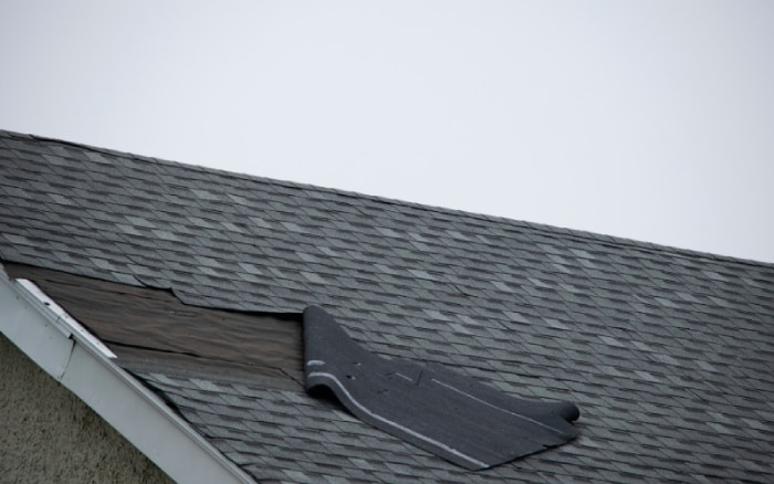 Common Signs You Need Roof Leak Repairs in Biloxi, MS 1 Common Signs You Need Roof Leak Repairs in Biloxi MS1