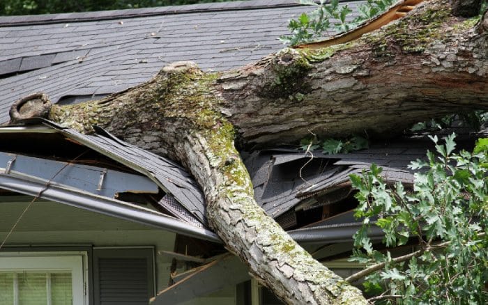 How to Prevent Roof Damage from Storms in Biloxi, MS 1 How to Prevent Roof Damage from Storms1 1