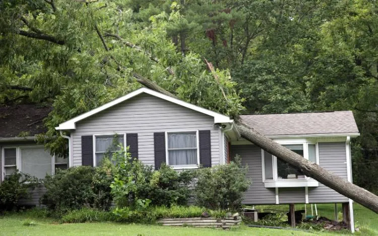 Emergency Roof Repairs