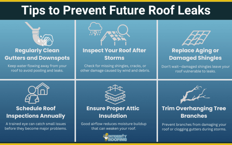 leaking roof repair infographic