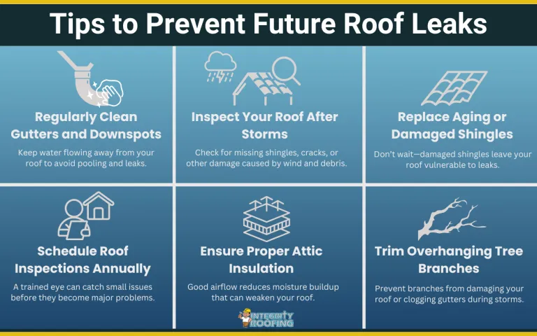 leaking roof repair infographic