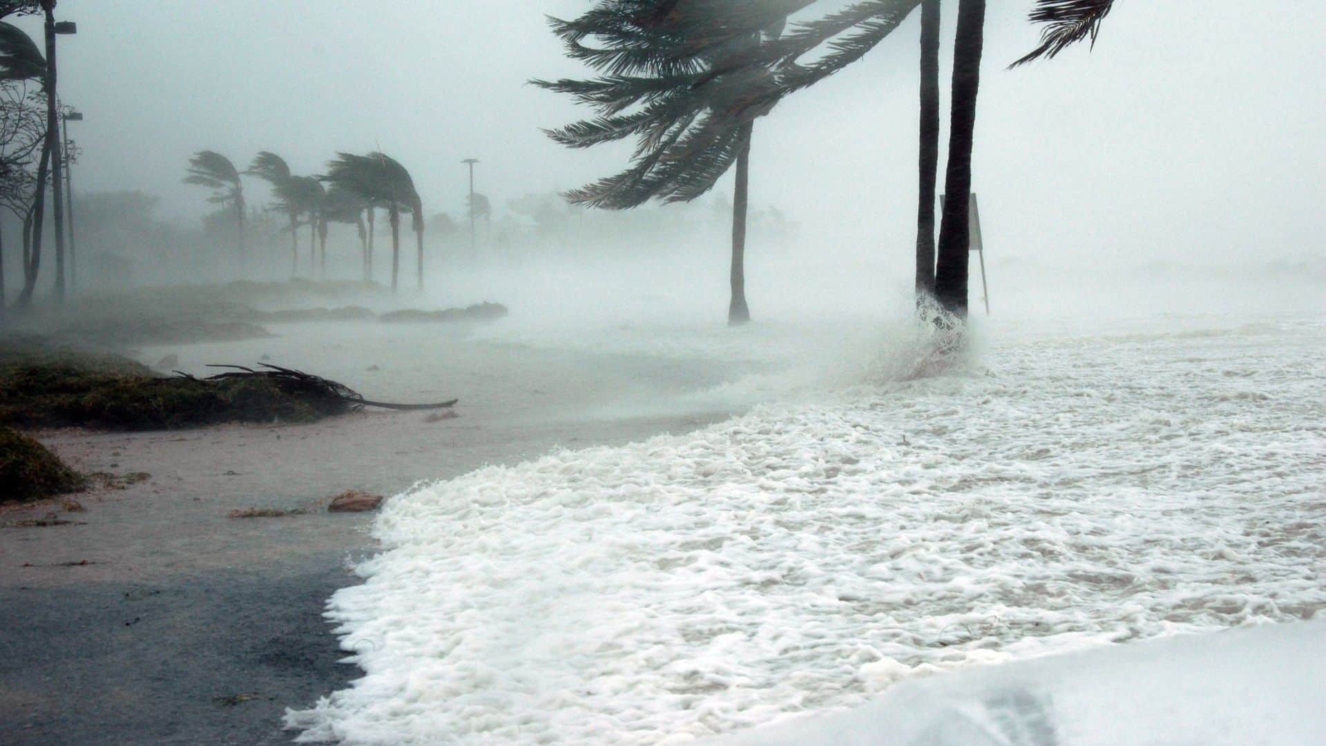 Severe hurricane winds and storm surge flood coastal area with palm trees bending—reminder of why durable roofing matters. Roofer near me can help protect homes from this destruction.
