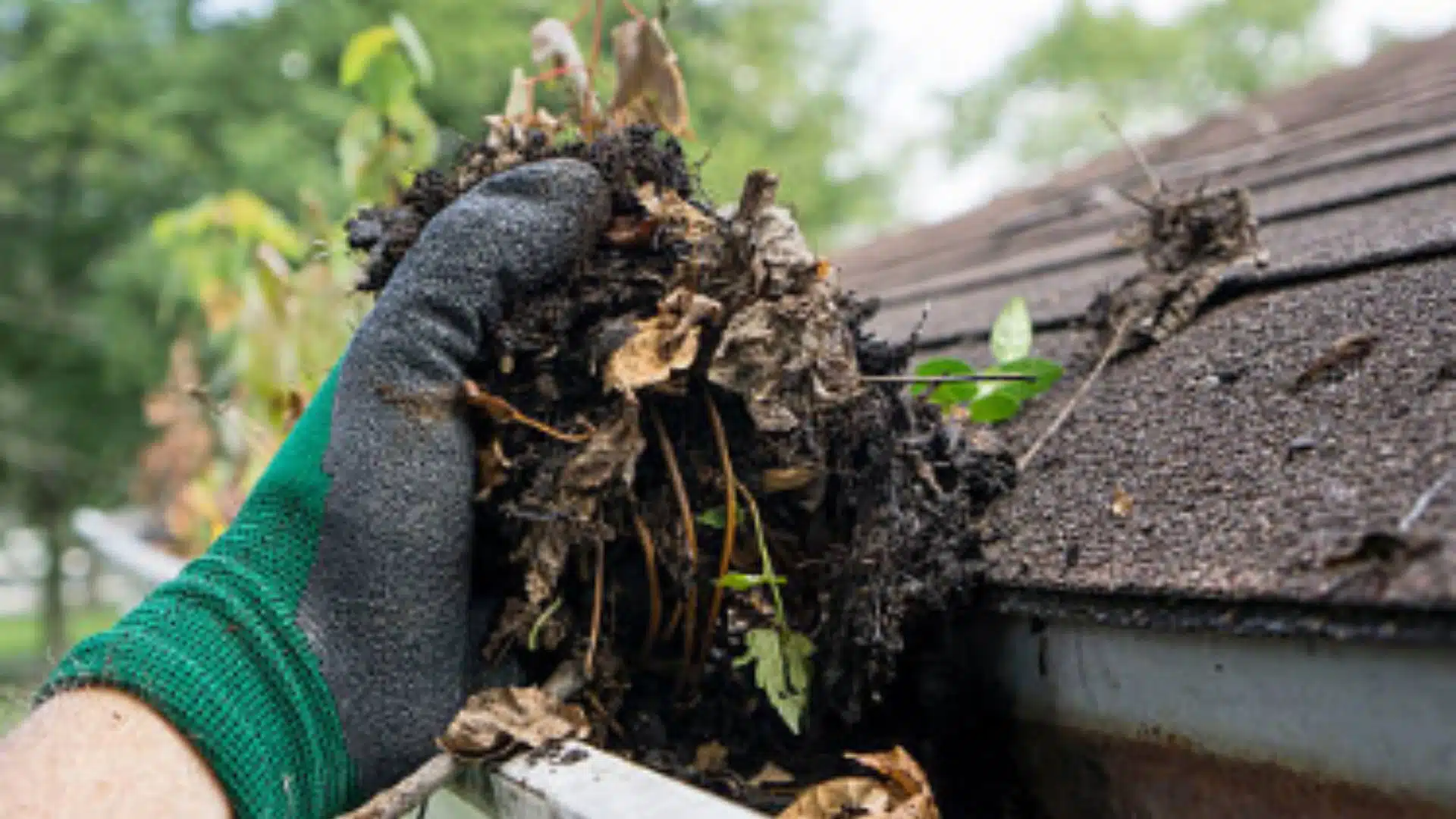 Clearing storm debris from gutters on a Mississippi Gulf Coast home – featured in “5 Roofing Maintenance Tips Every Homeowner on the MS Gulf Coast Should Know