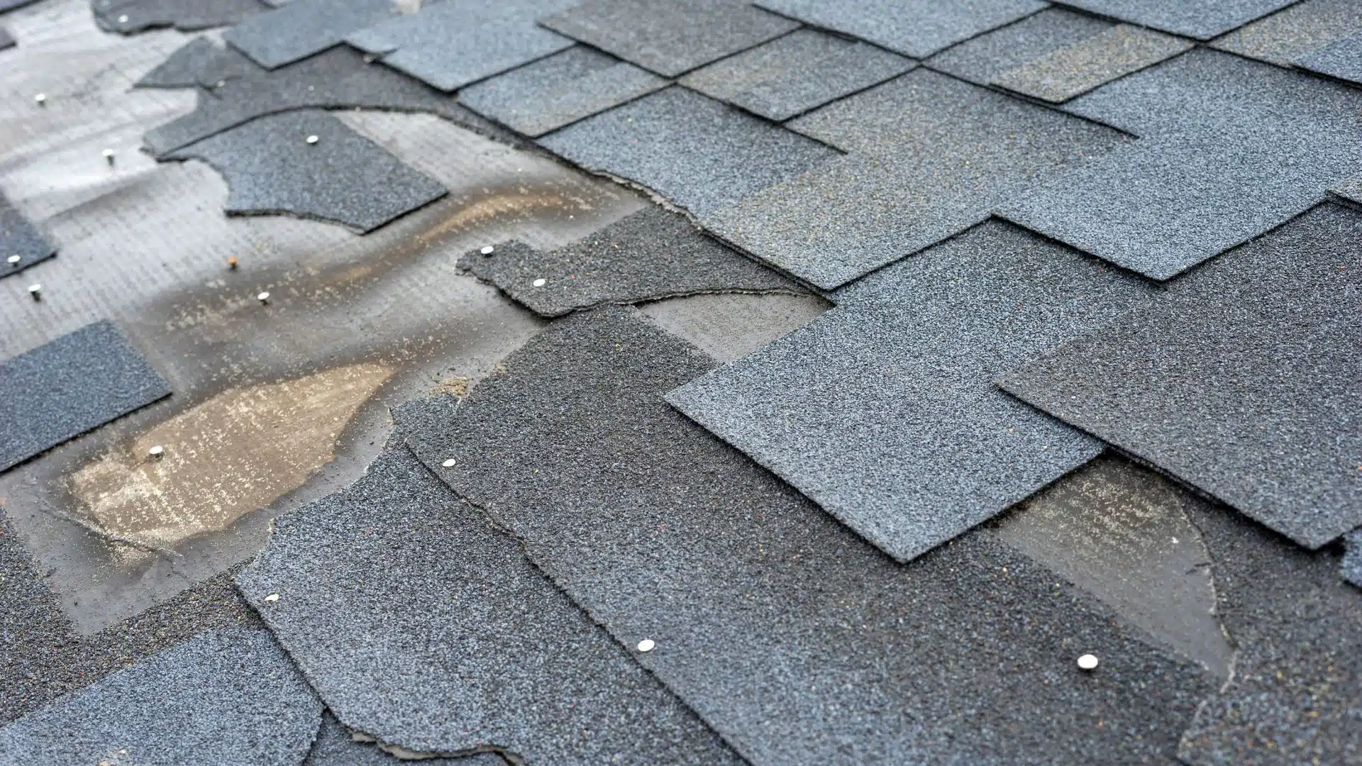 Severe roof damage on a Gulfport MS home after a storm, showing missing shingles and exposed decking before professional repair.