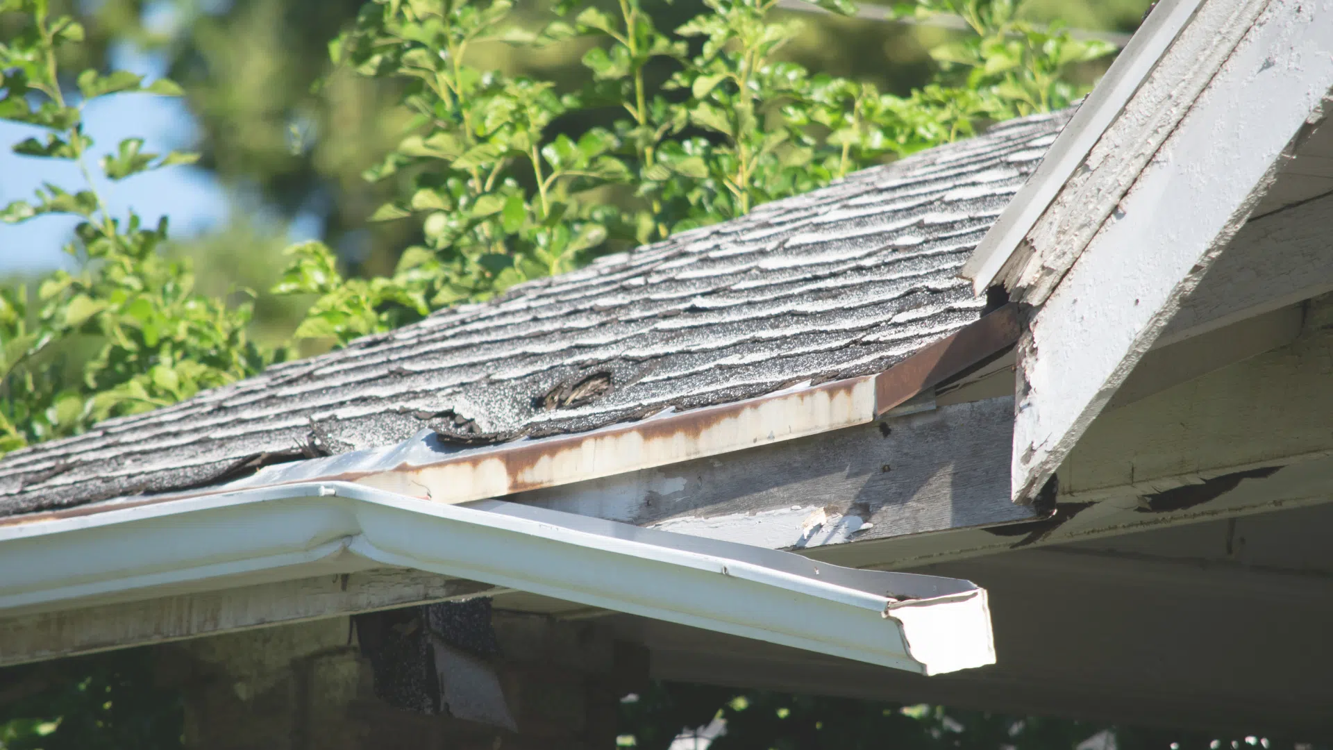 Shingle damage on a Mississippi Gulf Coast roof after a storm