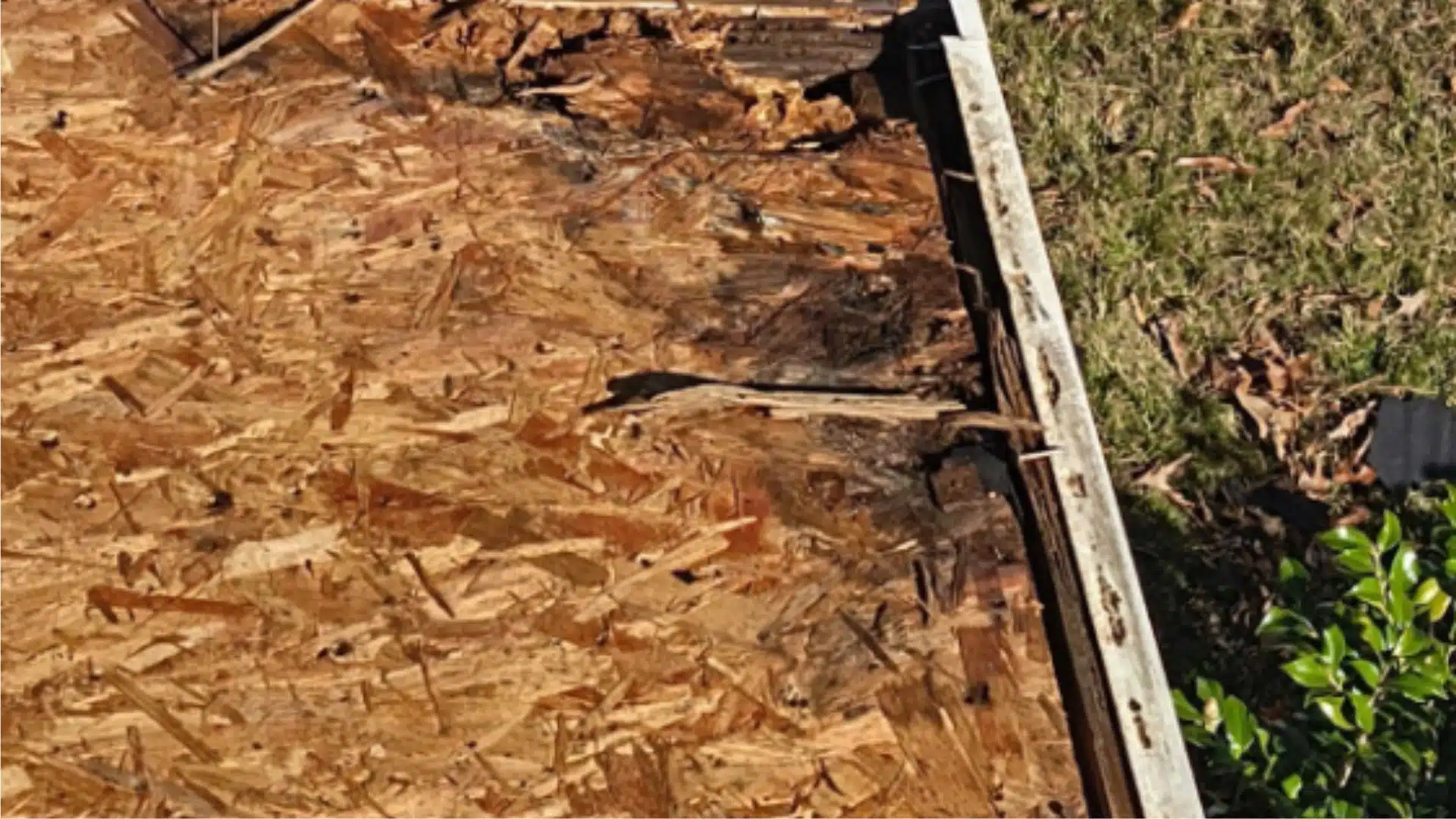 A detailed roof inspection on the MS Gulf Coast showing worn shingles, aging decking, and coastal sun exposure before roof replacement in Gulfport.