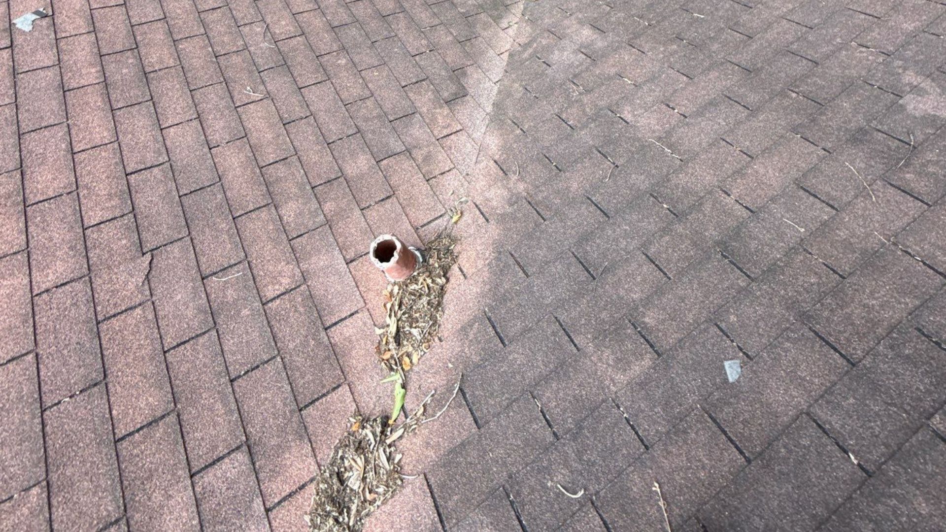 What Causes Shingle Granule Loss on Your MS Gulf Coast Roof? 2 Asphalt shingle roof showing leaf debris buildup in a valley, wear patterns, and a damaged hole at the eave.